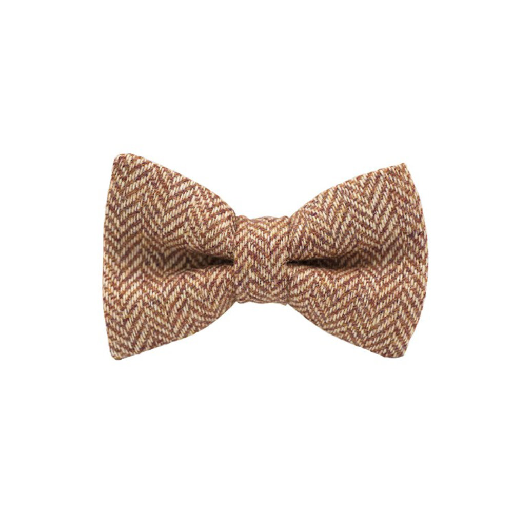 Jaggs - Nœud papillon Tweed "Dundee" - Chevron orange