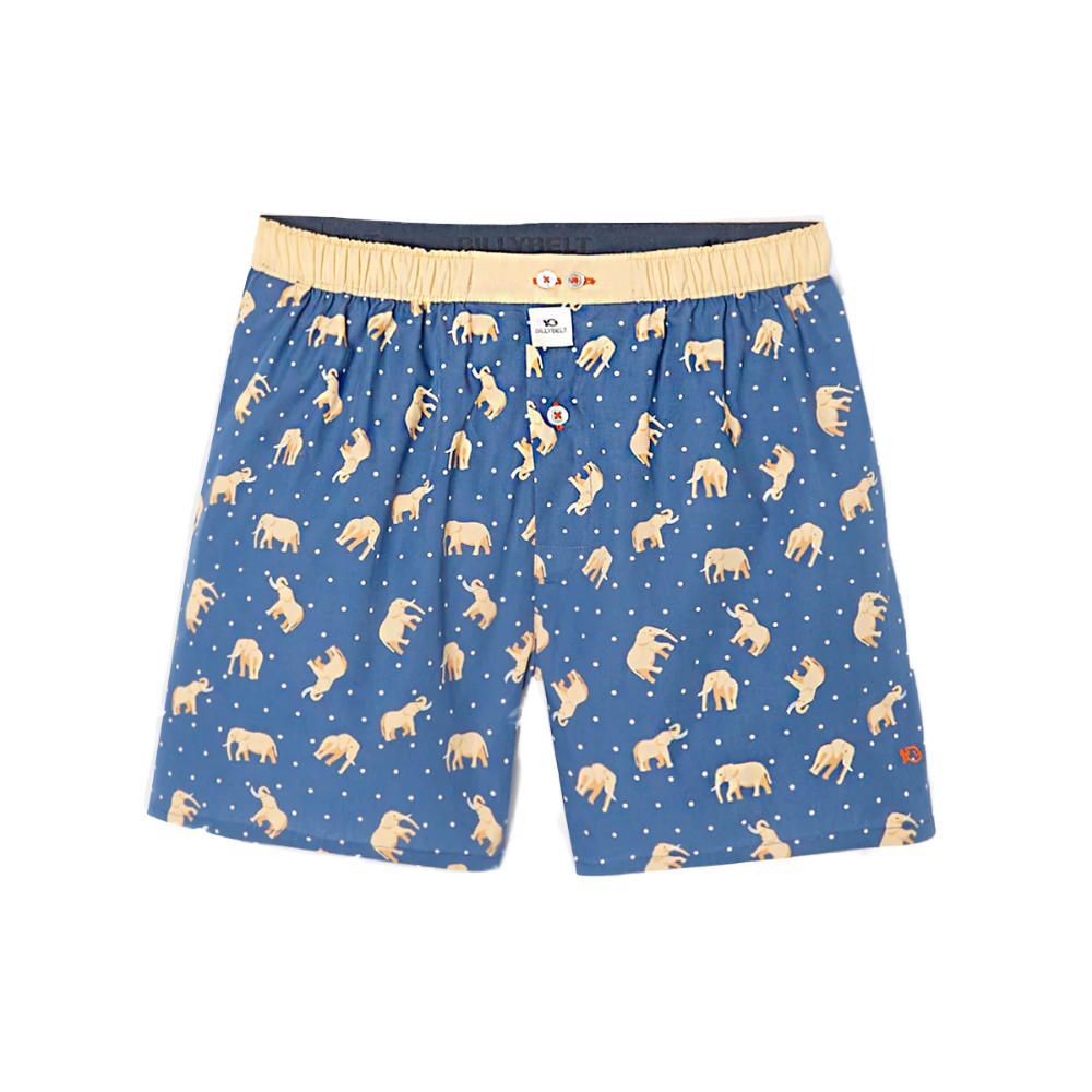 BillyBelt - Caleçon en coton bio - Elephant Dream - Taille M